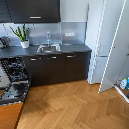 Apartment Spacious In The Heart Of Smichov *